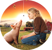 Charlotte's Web