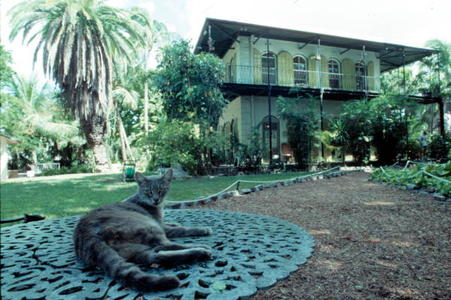 Ernest Hemingway House. The descendants of the original cats still run the place
