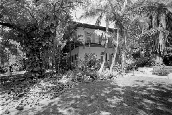 Ernest Hemingway museum, Key West, Florida